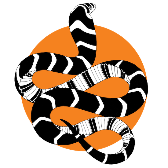 Save The Snakes Logo